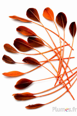 Ente - 18-20 cm - orange-kaffee